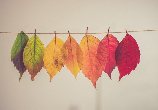 Otoño